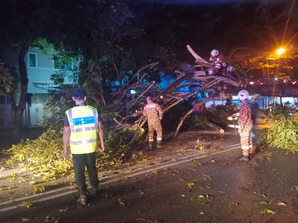 新春豪雨绵延 巴生多区积水倒树